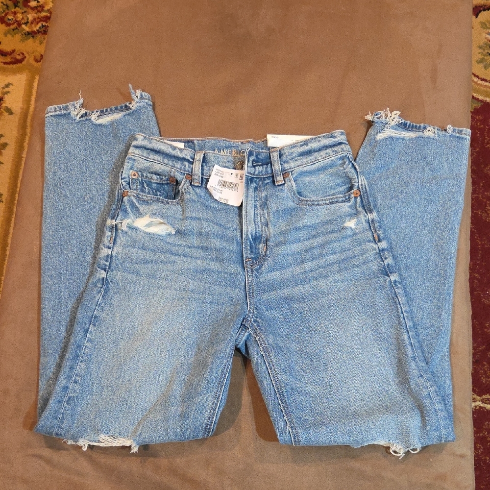 American Eagle Outfitters Light Blue Distressed Straight Leg Jeans